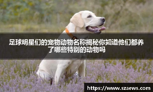 艾弗森贝博ballbet官网