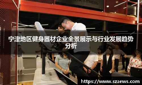 宁津地区健身器材企业全景展示与行业发展趋势分析